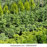 神马午夜超神第九达达兔不卡 bsc7qi84w