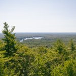 神马影院达达兔 wc337